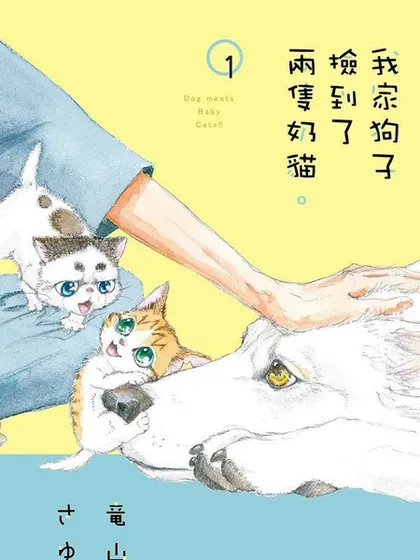 我家狗子捡到了两只奶猫